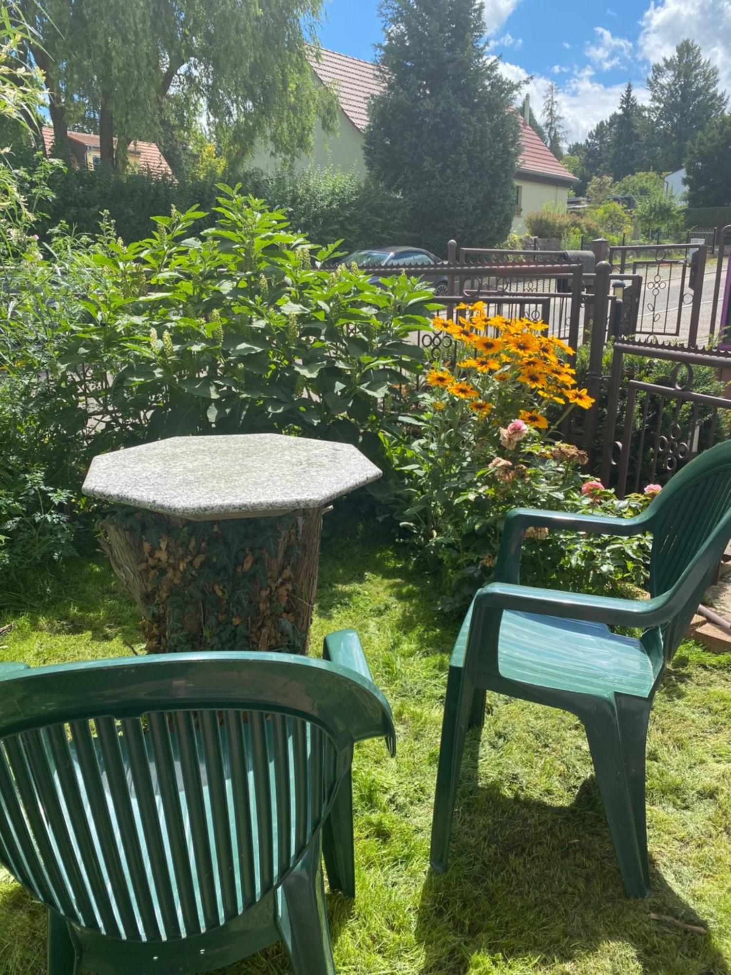 Haus Heiken Apartment Lavendel Altenburg Dış mekan fotoğraf